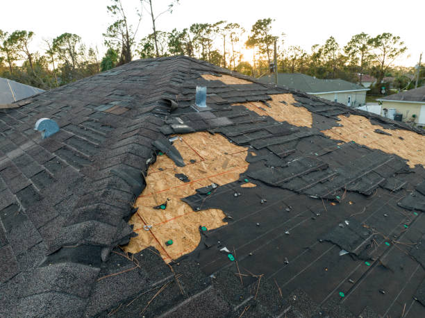 Best Storm Damage Roof Repair  in Campton Hls, IL