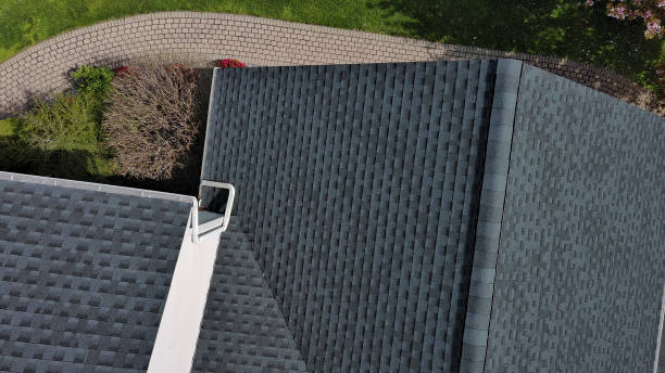 Best Skylight Installation and Repair  in Campton Hls, IL