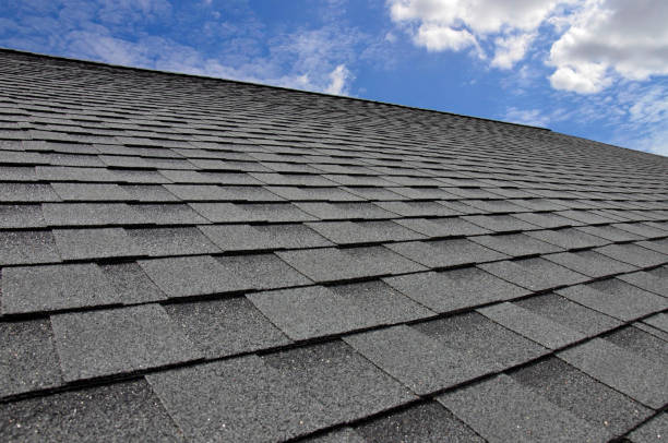 Best Roof Maintenance and Cleaning  in Campton Hls, IL